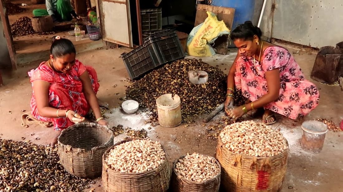 Cashew processing at a Midaspire facility