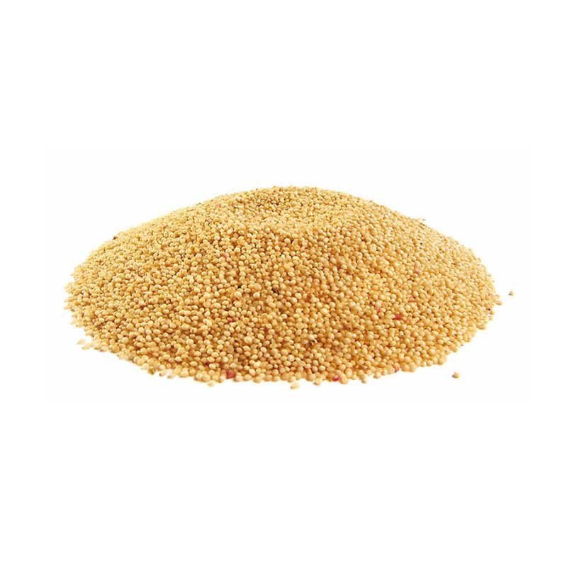 Amaranth Seeds supplied by Midaspire