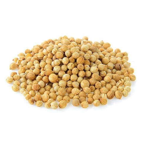 Coriander Seeds supplied by Midaspire