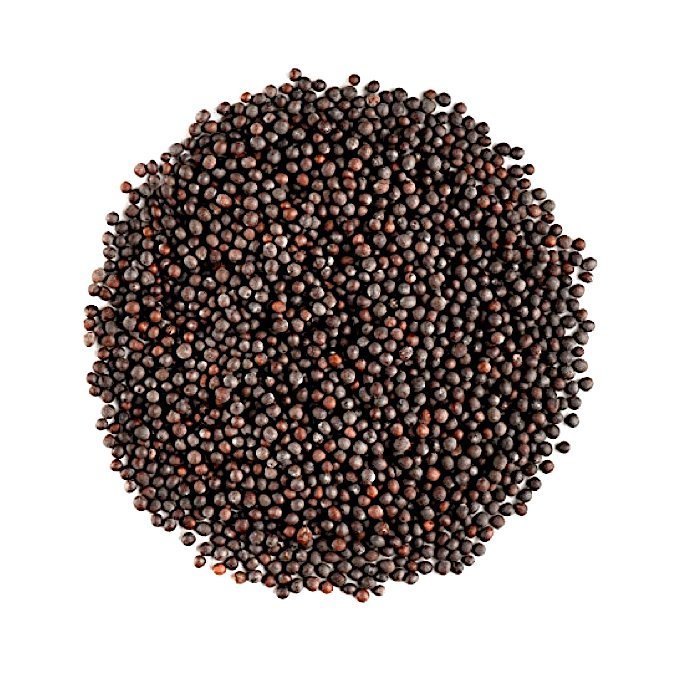 Mustard Seeds supplied by Midaspire