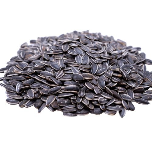 Sunflower Seeds supplied by Midaspire